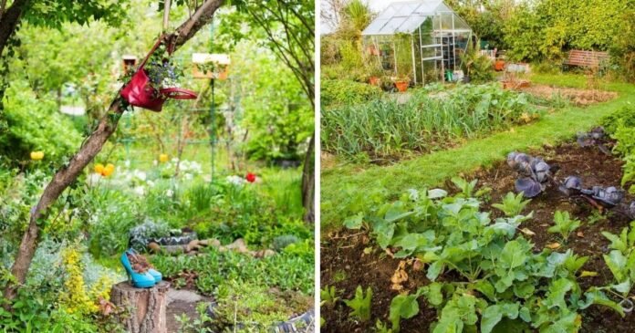 7 Sustainable Gardening Practices
