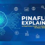 What Is Pinaflux and How Does It Work?