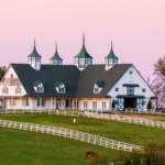 What Should You Consider When Planning an Equestrian Estate?