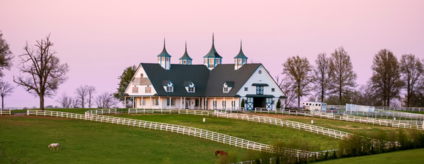 What Should You Consider When Planning an Equestrian Estate?