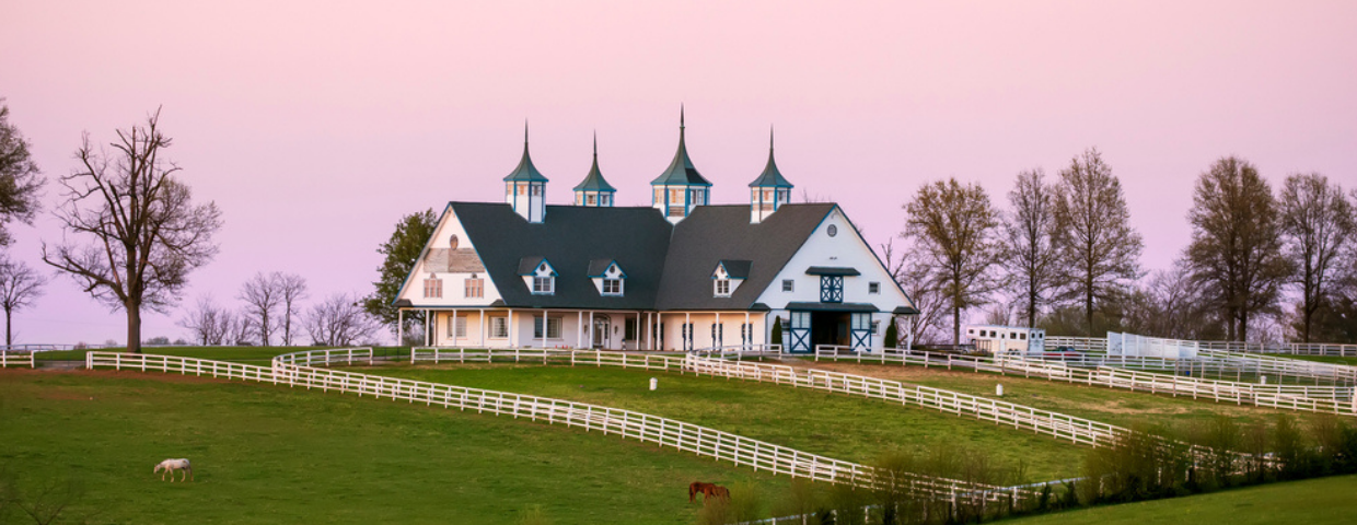 What Should You Consider When Planning an Equestrian Estate?