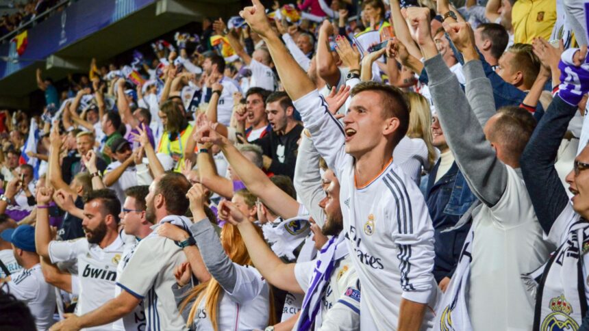 Why Is Focused Sports Entertainment Gaining Popularity?