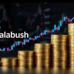 When Is the Best Time to Buy Charalabush?