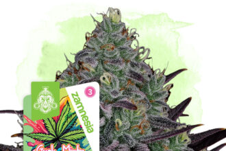 Who Can Benefit from Gush Mintz?