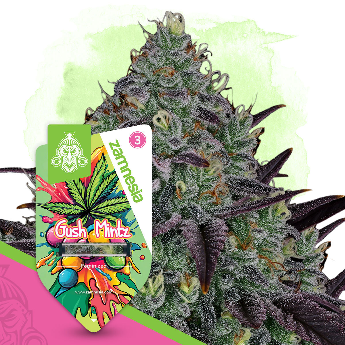 Who Can Benefit from Gush Mintz?