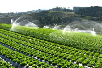 What Are the Benefits of Efficient Irrigation Systems?