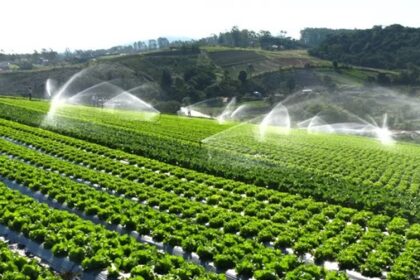 What Are the Benefits of Efficient Irrigation Systems?