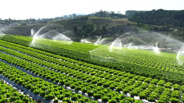 What Are the Benefits of Efficient Irrigation Systems?